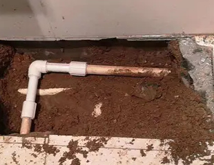 海口市测漏水哪家好