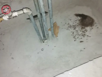 海口市卫生间测漏水价格明细