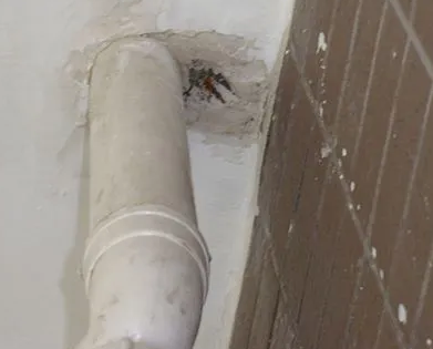 海口市漏水检测哪家好